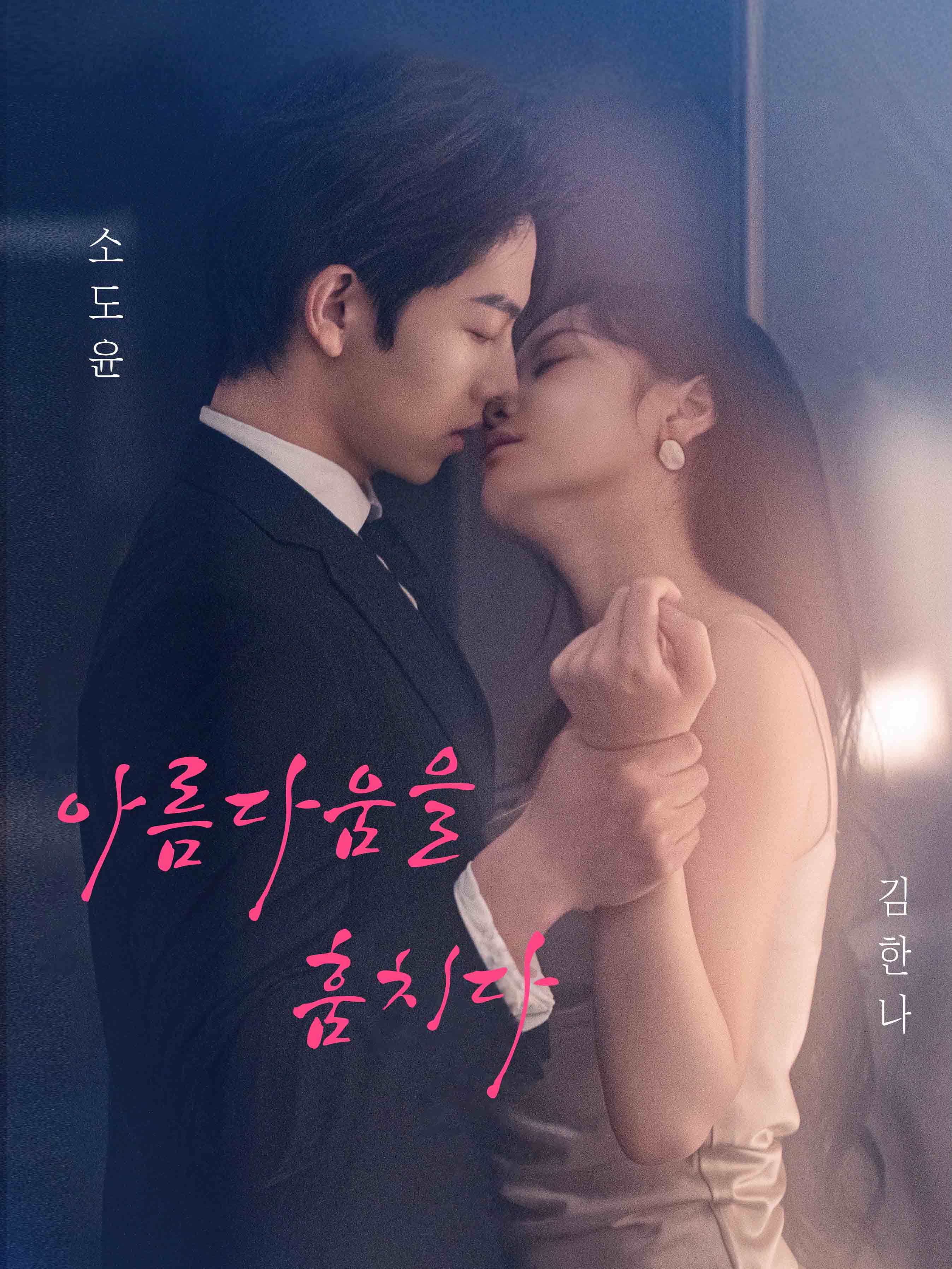 아름다움을 훔치다 표지