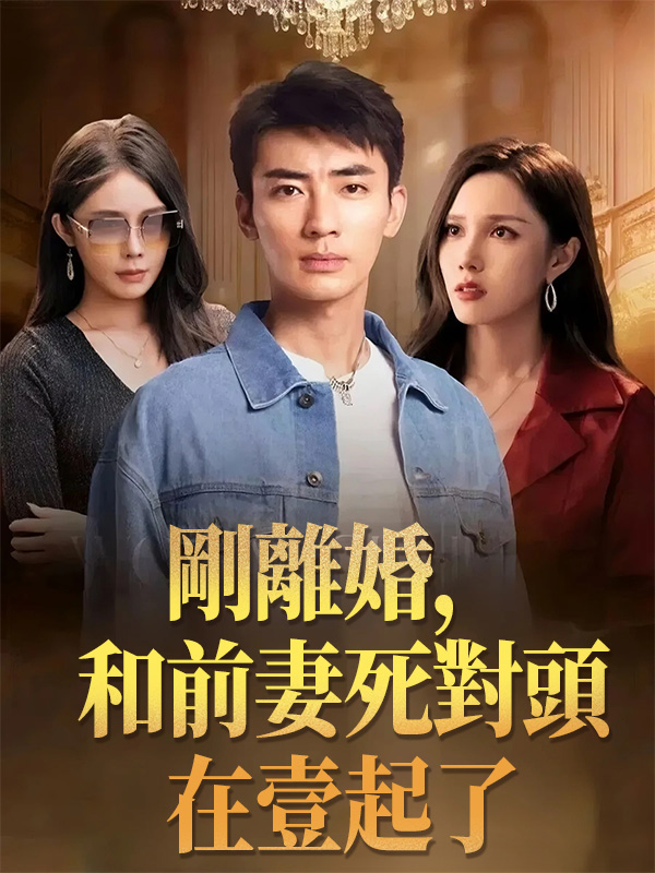 《剛離婚，和前妻死對頭在壹起了》封面