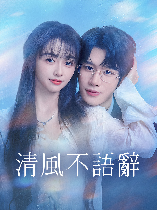 《清風不語辭》封面