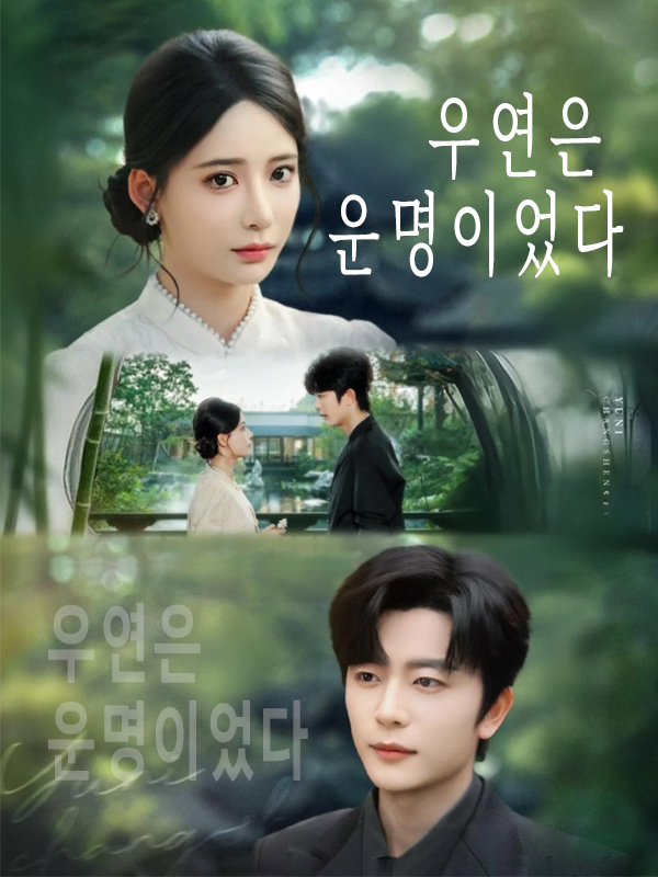 우연은 운명이었다 표지