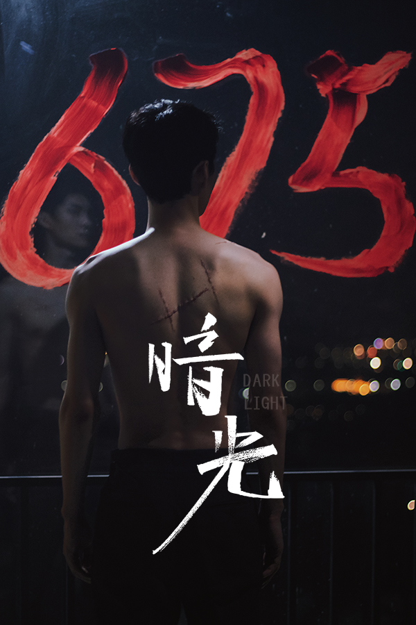 《暗光》封面