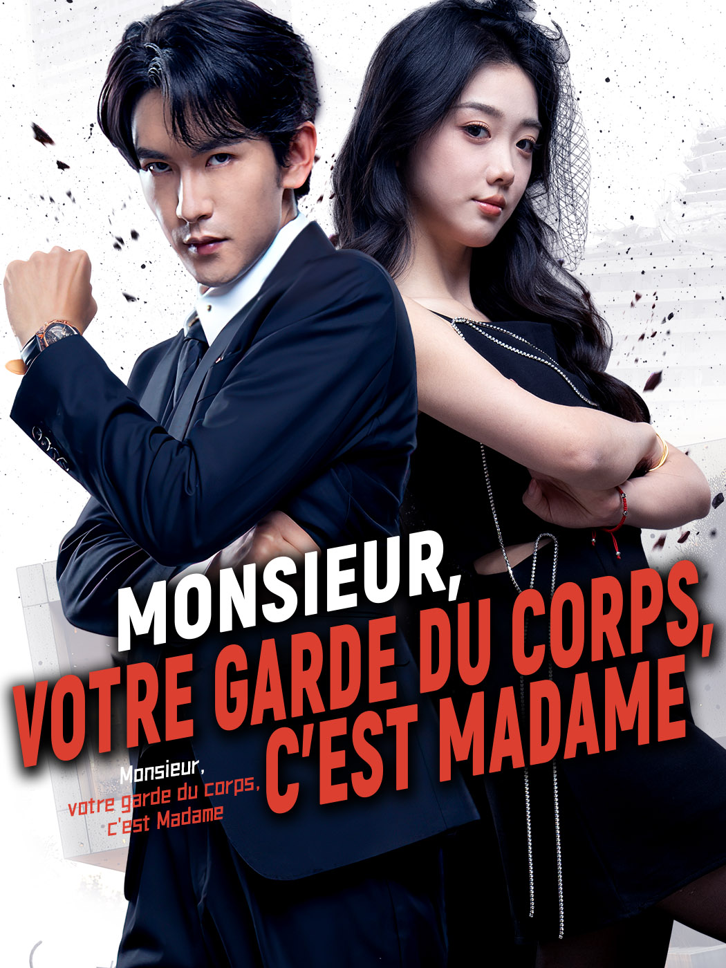 Monsieur, votre garde du corps, c'est Madame