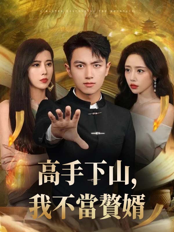 《高手下山，我不當贅婿》封面