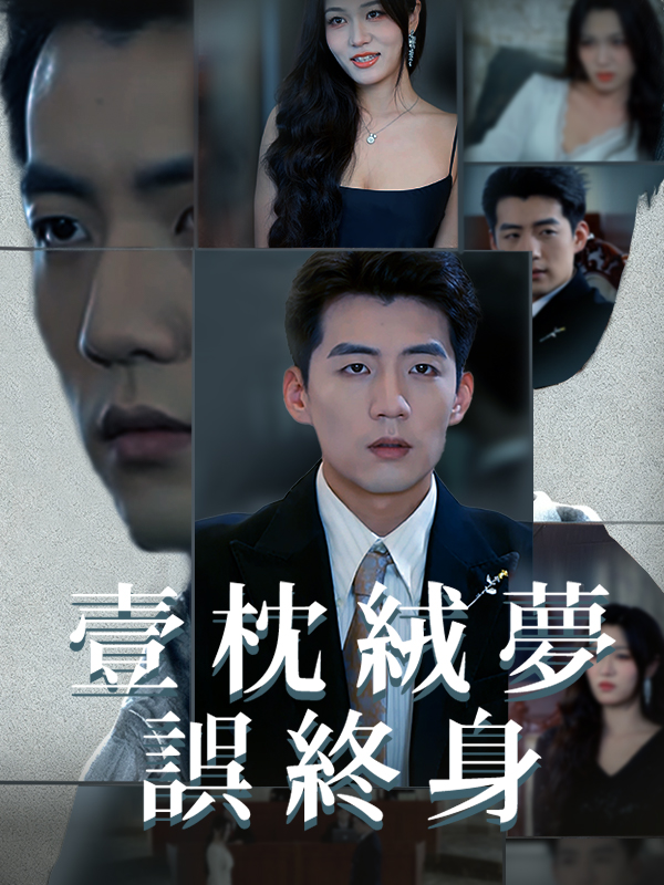 《壹枕絨夢誤終身》封面