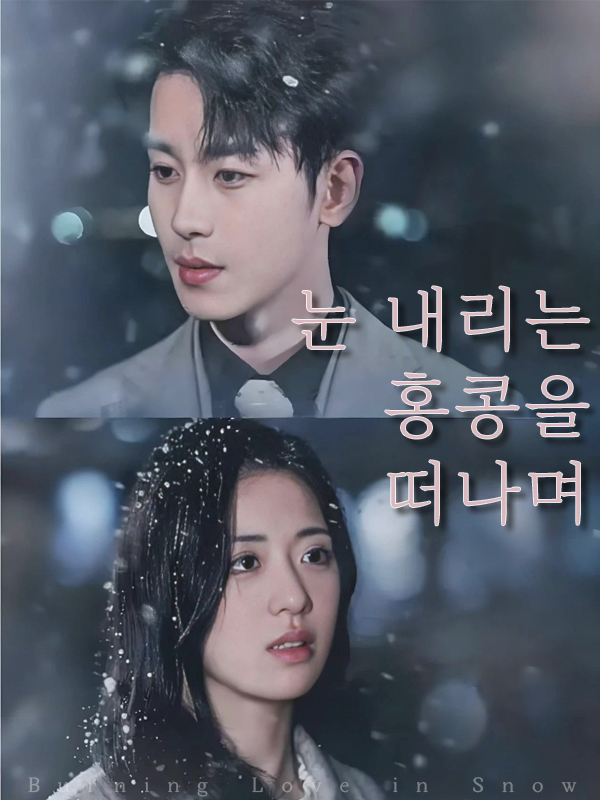 눈 내리는 홍콩을 떠나며 표지