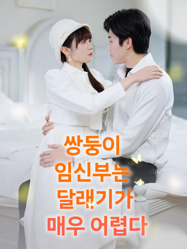 쌍둥이 임신부는 달래기가 매우 어렵다 표지