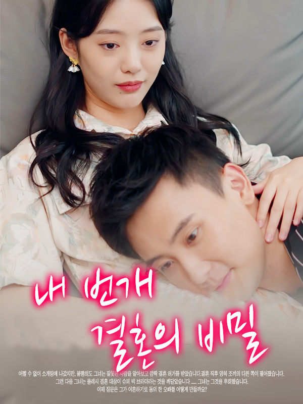 내 번개 결혼의 비밀 표지