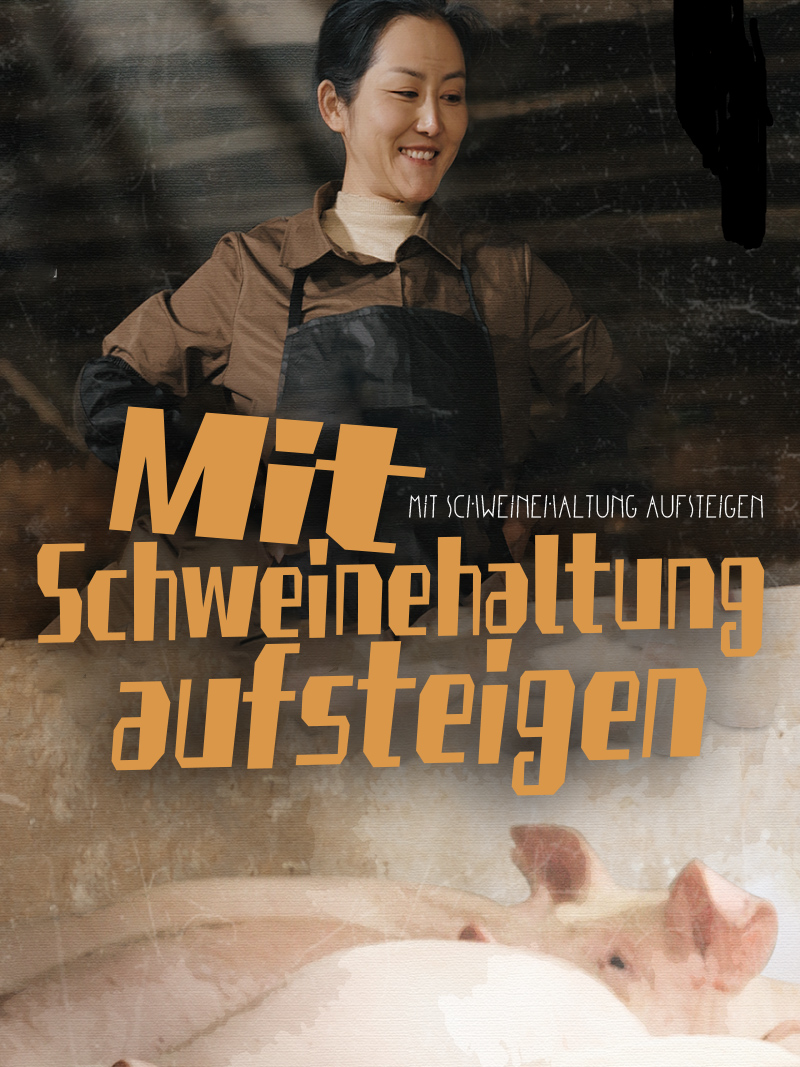 Mit Schweinehaltung aufsteigen