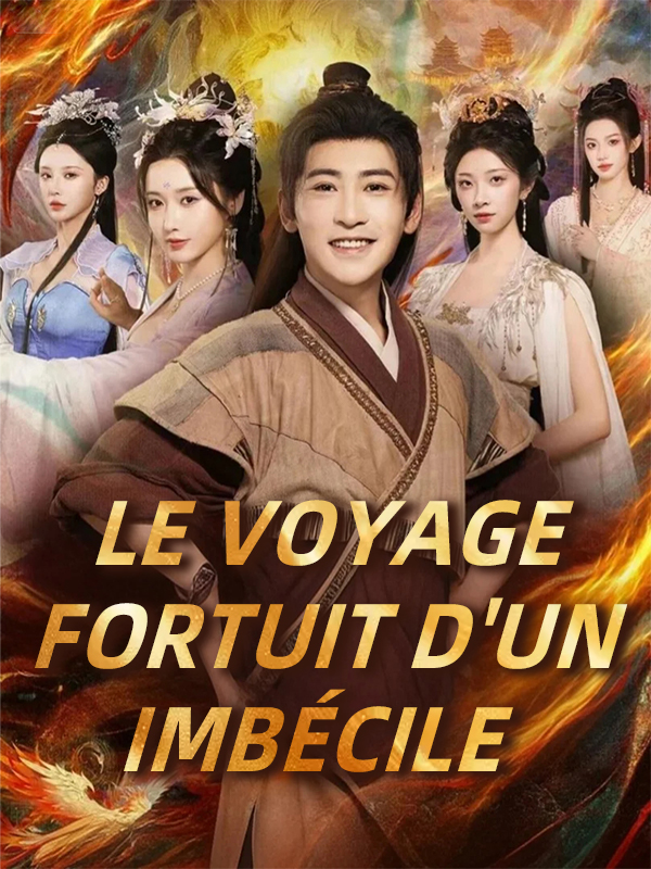 Le voyage fortuit d'un imbécile