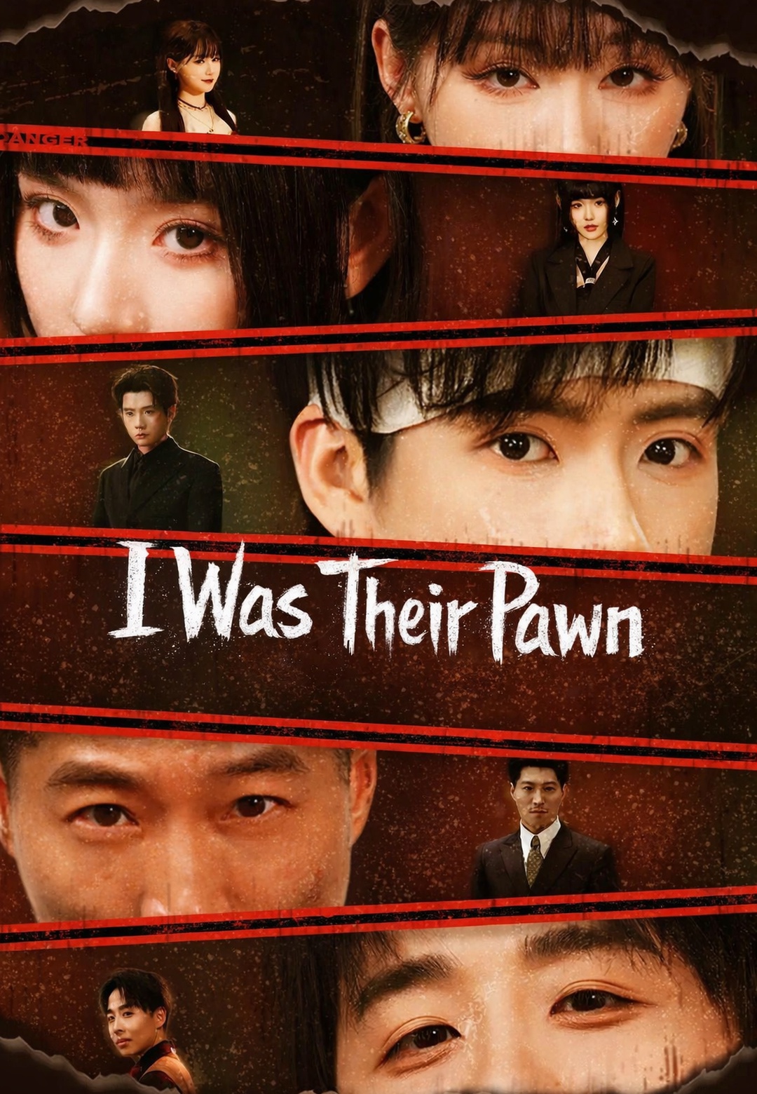 I Was Their Pawn
