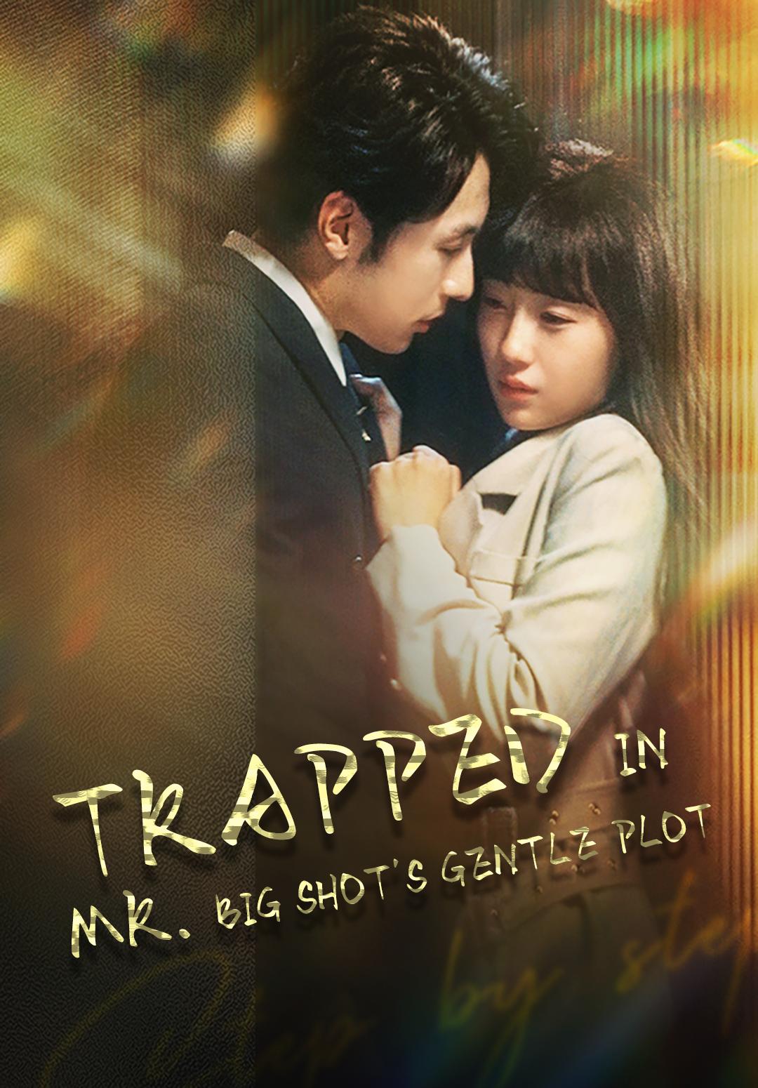 Trapped in Mr. Big Shot's Gentle Plot