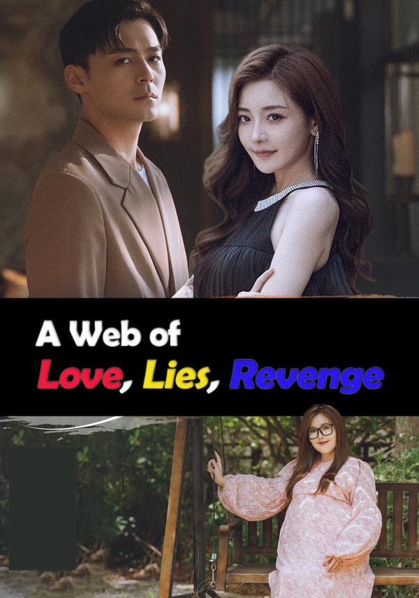 A Web of Love, Lies, Revenge cover