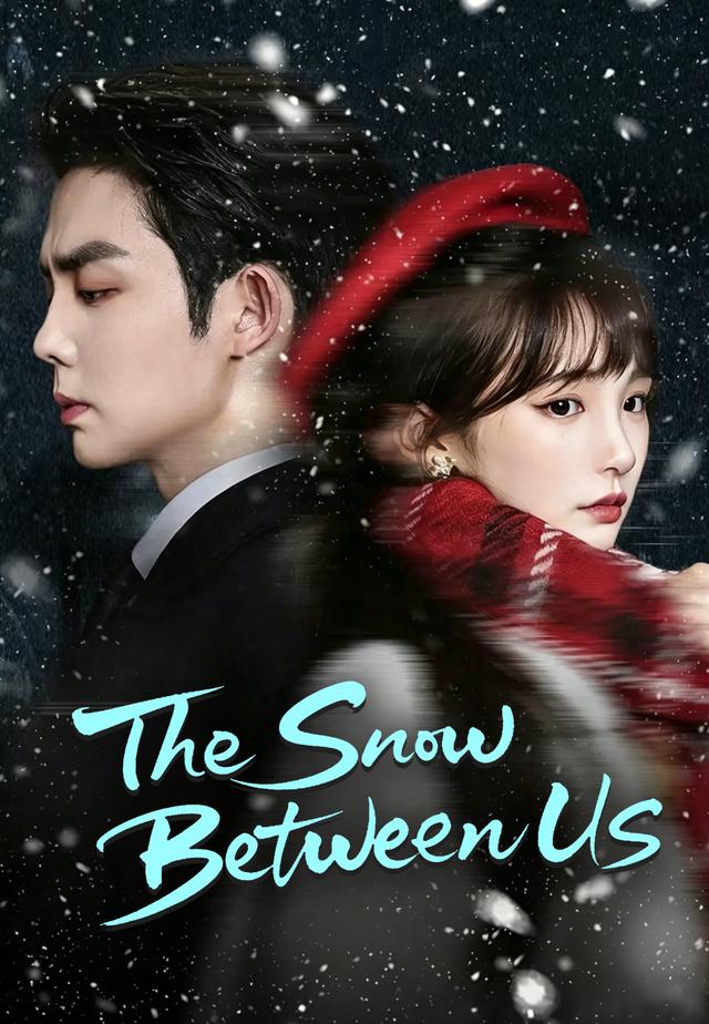 The Snow Between Us poster