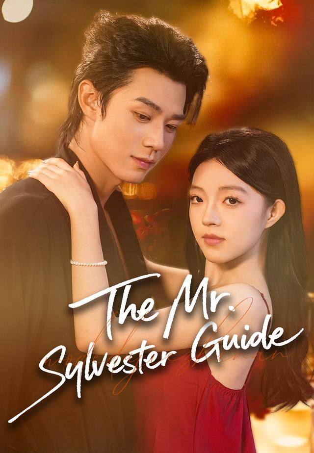 The Mr. Sylvester Guide