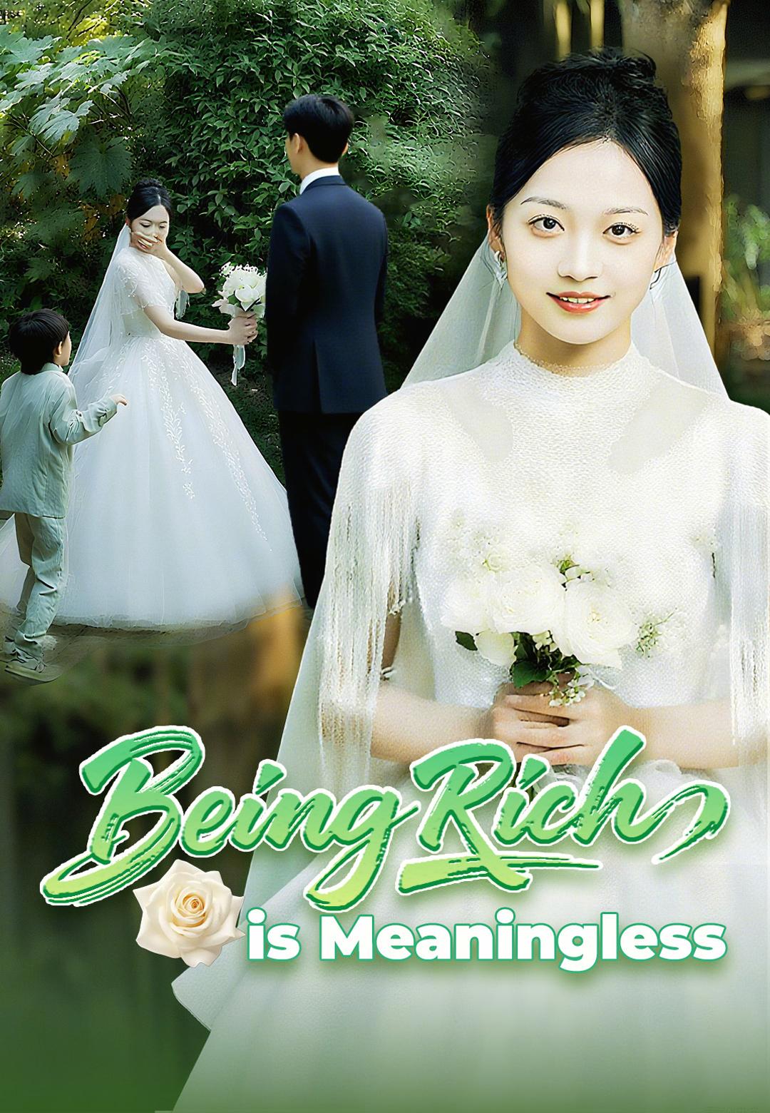 Being Rich is Meaningless
