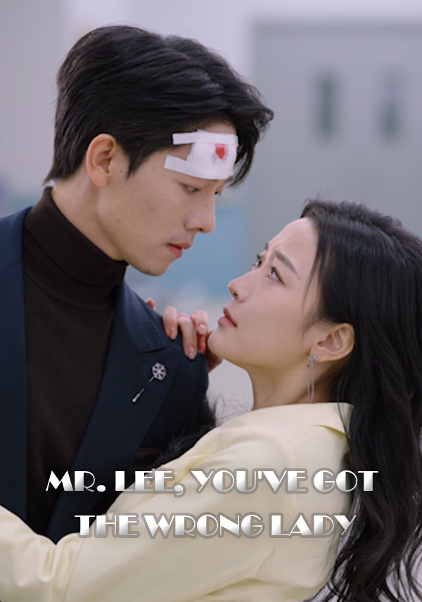 Mr. Lee, You've Got the Wrong Lady cover