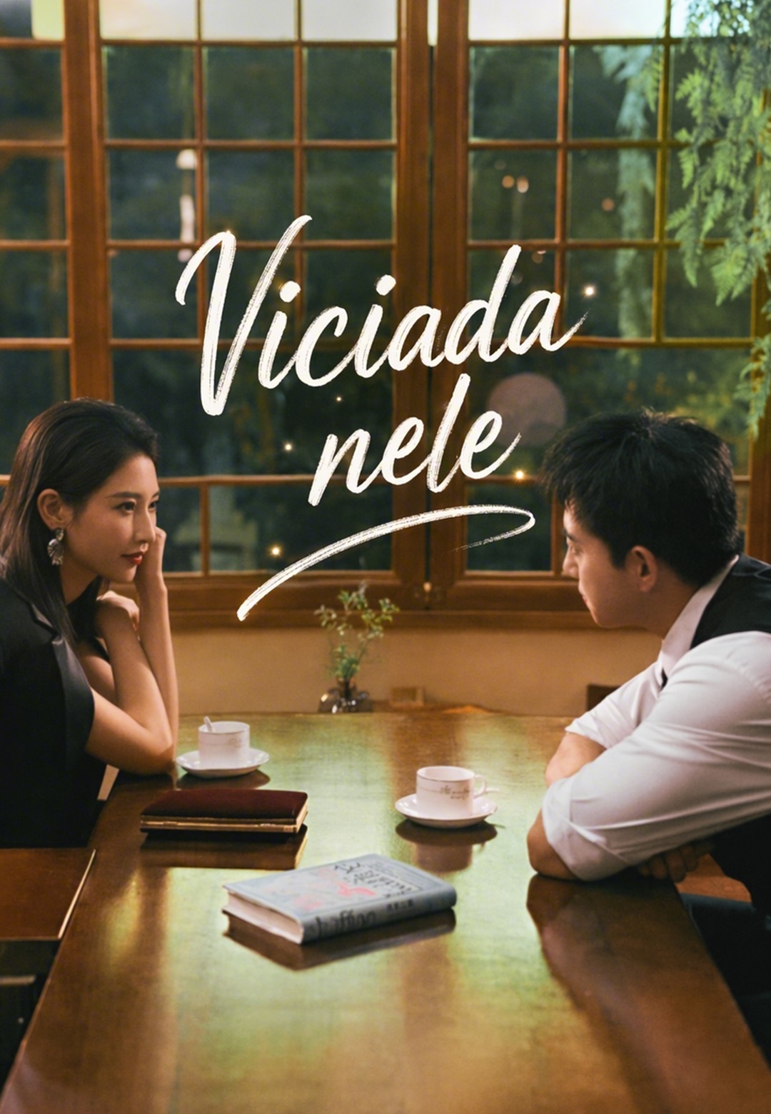 Capa de (Dublado)Viciada nele