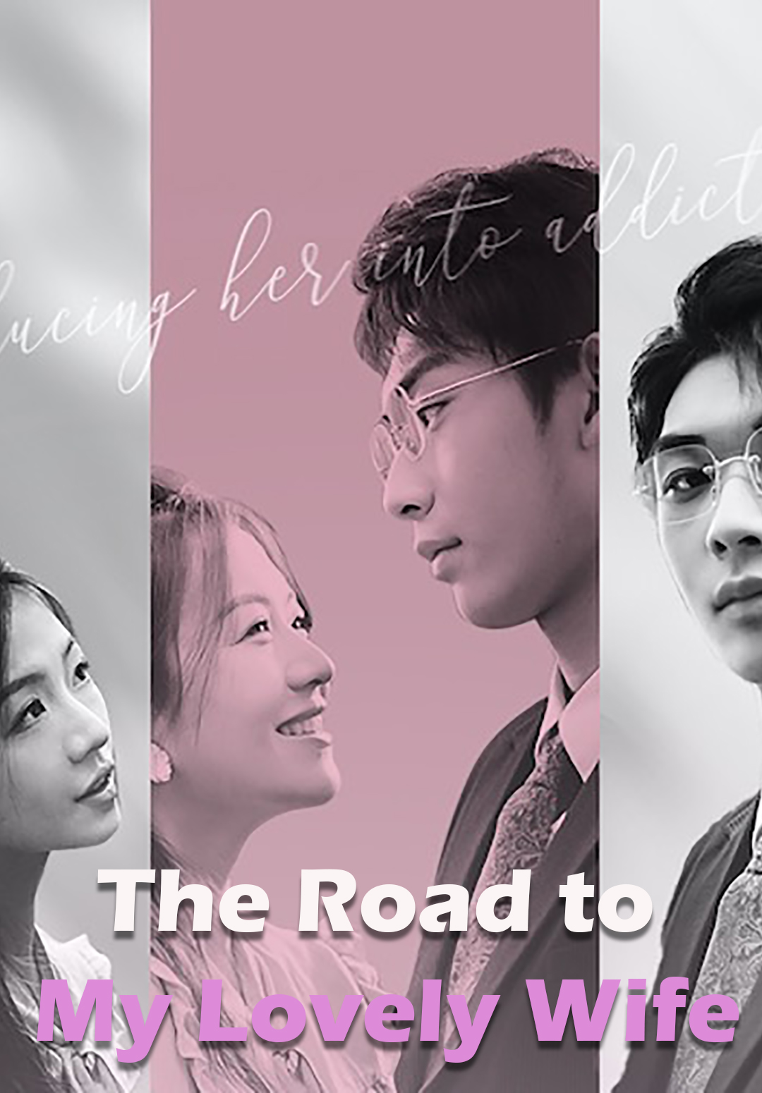 The Road to My Lovely Wife