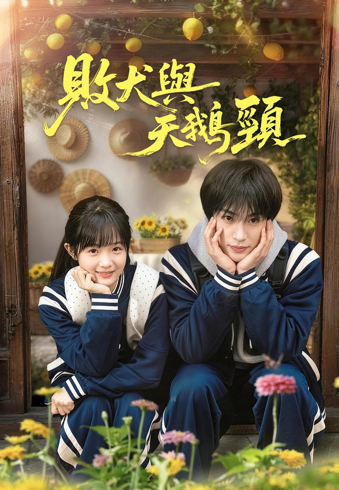 《敗犬與天鵝頸》封面