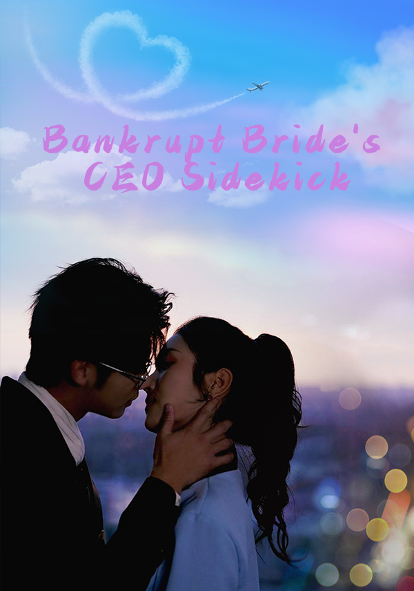 Bankrupt Bride's CEO Sidekick