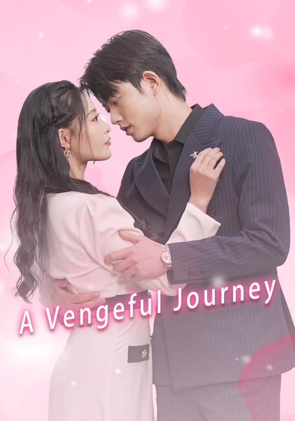 A Vengeful Journey cover