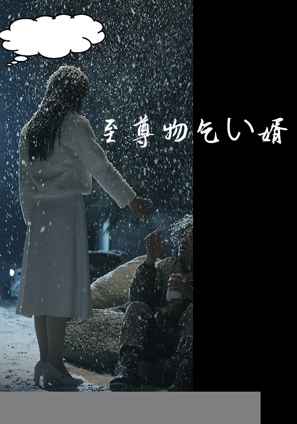 至尊物乞い婿