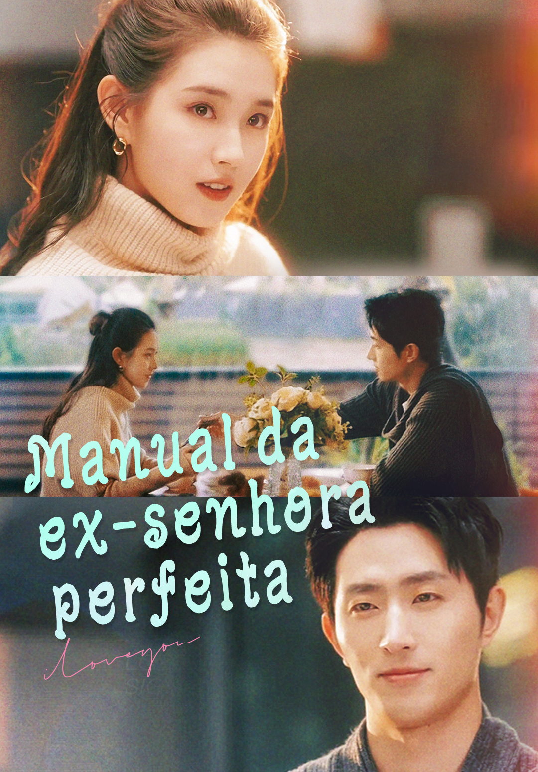 Manual da ex-senhora perfeita