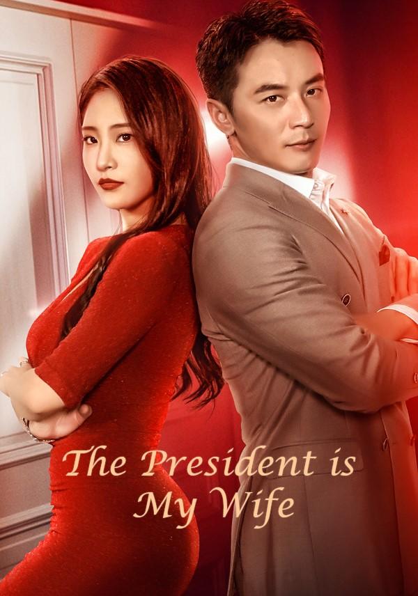 The President is My Wife