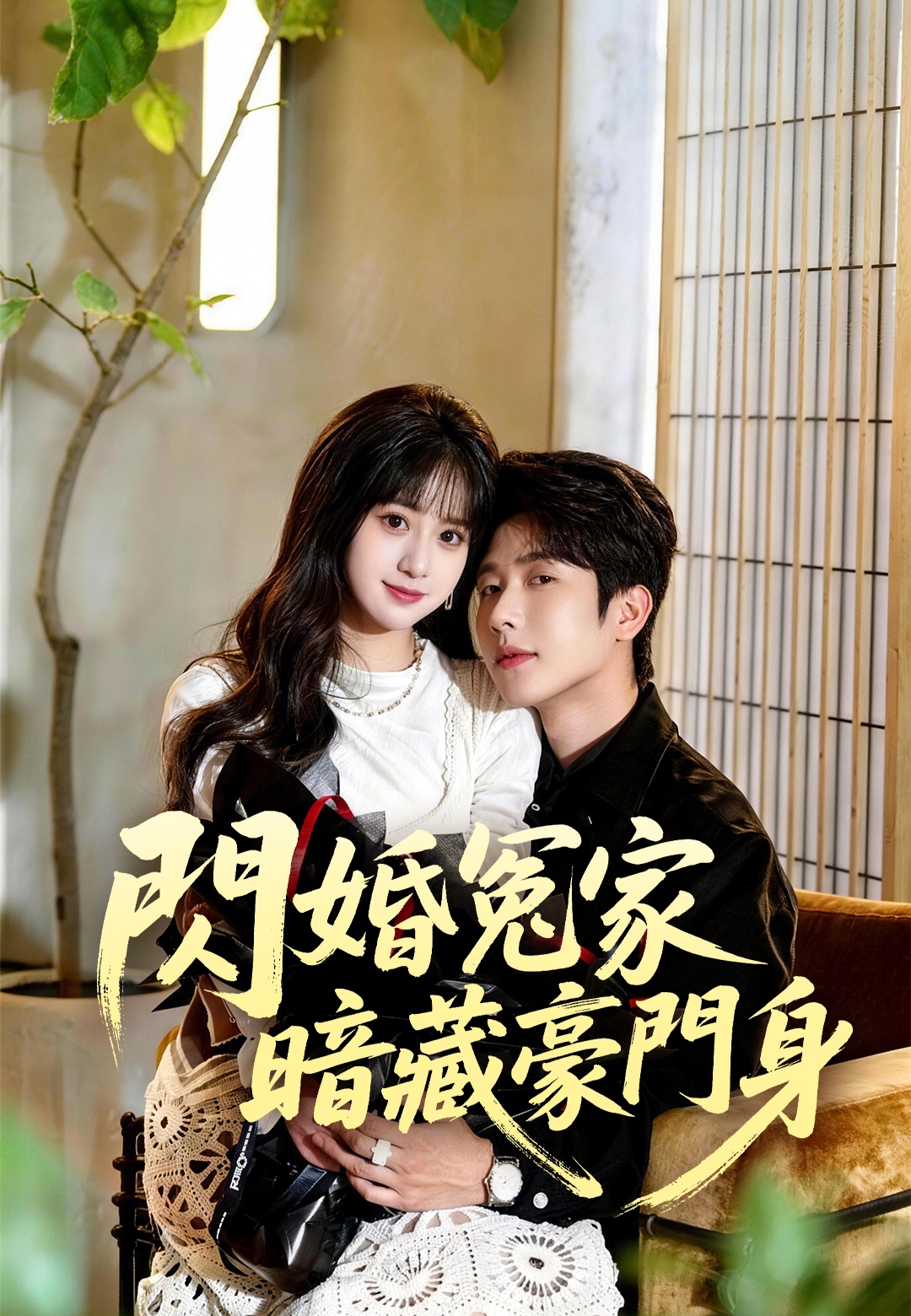 《閃婚冤家暗藏豪門身》封面