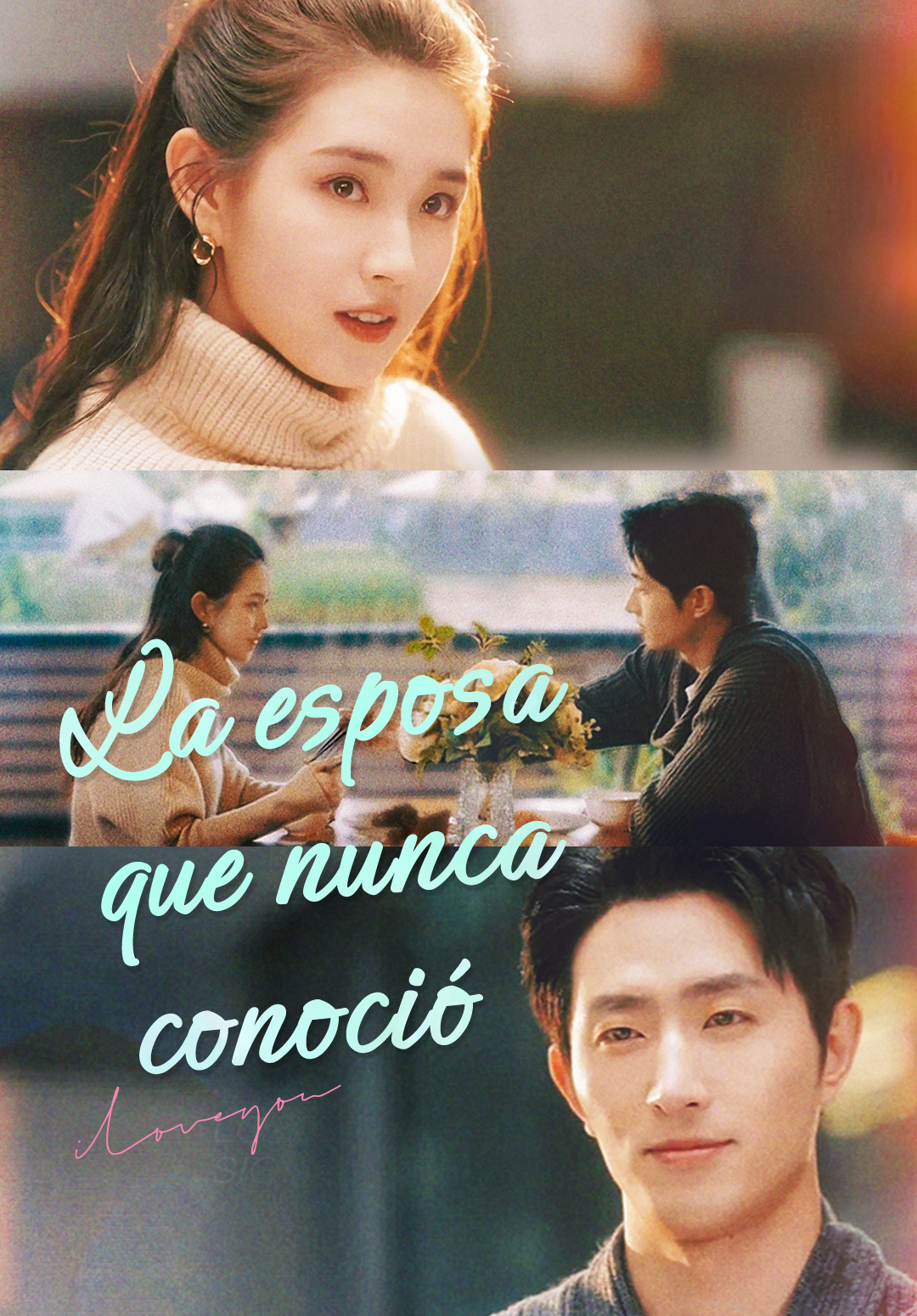 La esposa que nunca conoció