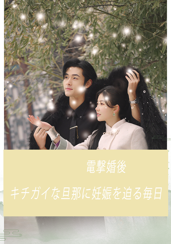 「電撃婚後　キチガイな旦那に妊娠を迫る毎日」のカバー画像