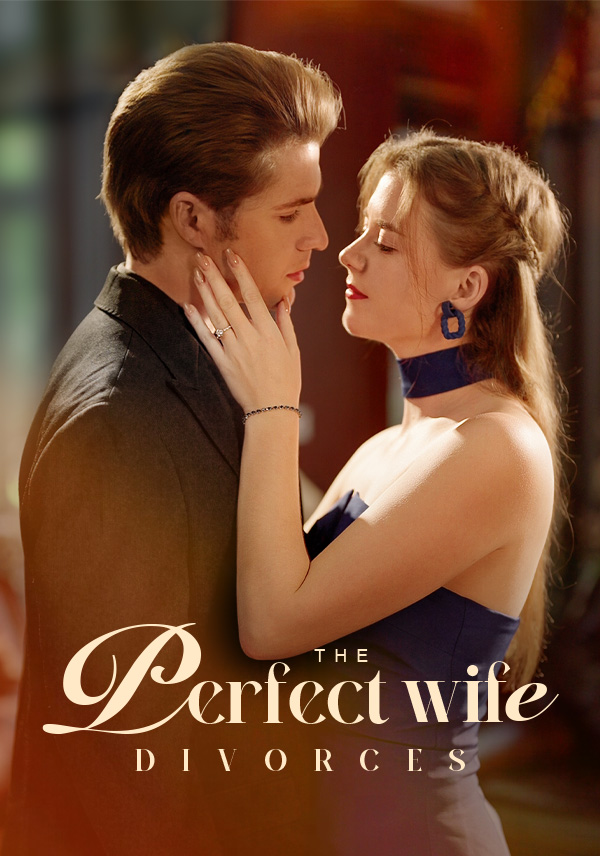 The Perfect Wife Divorces