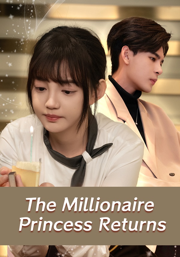 The Millionaire Princess Returns