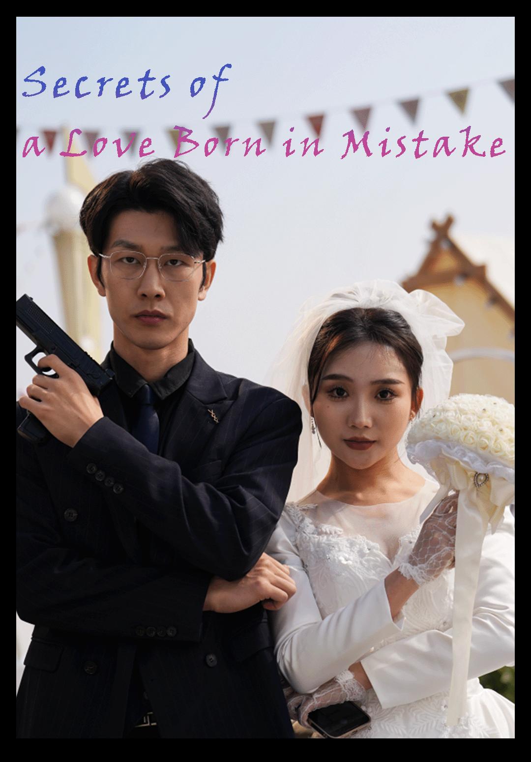 Secrets of a Love Born in Mistake